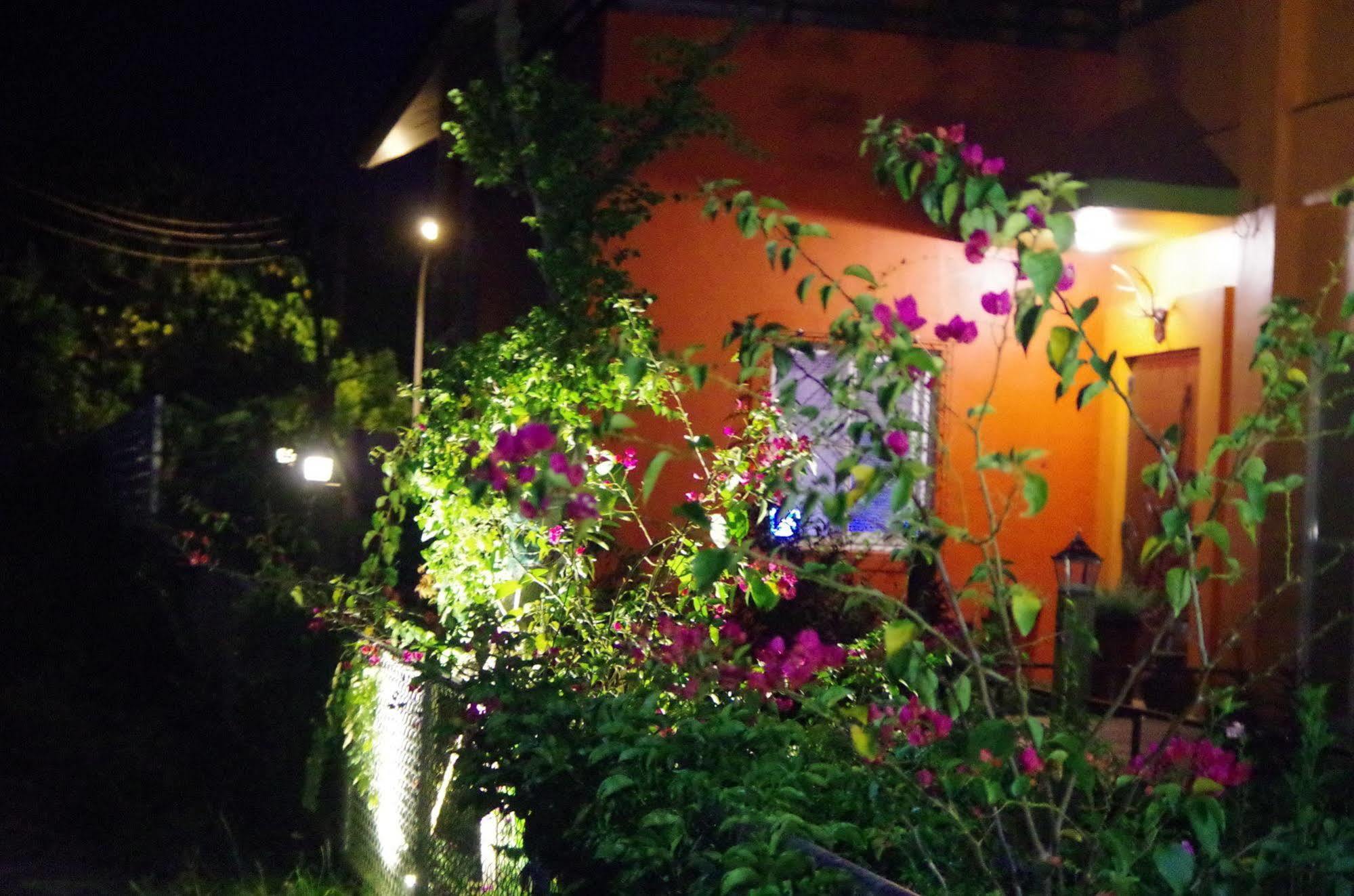Lung Hill B&B Taitung Екстериор снимка